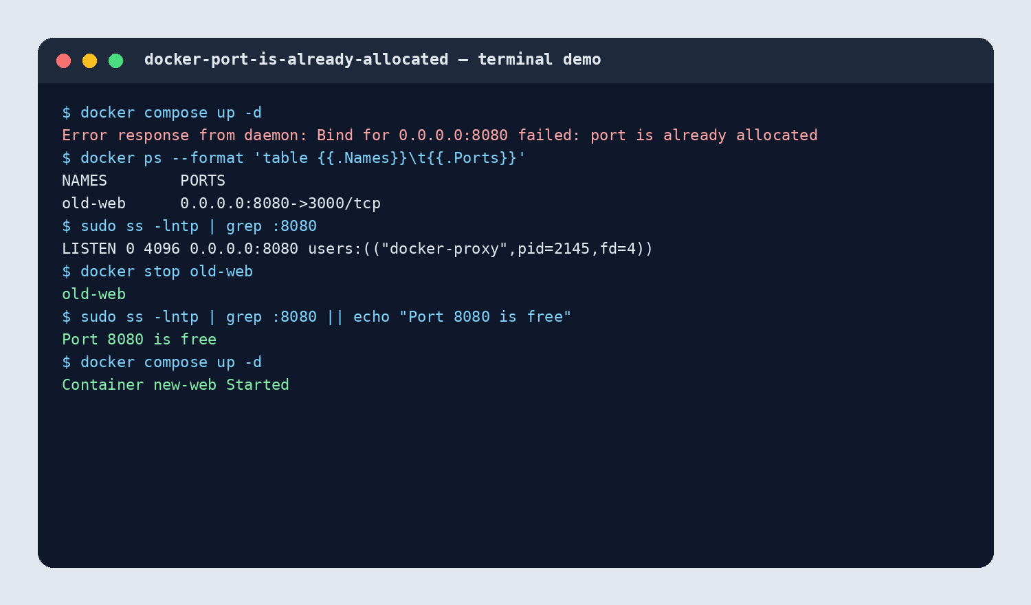 Terminal demo tìm và giải phóng cổng
