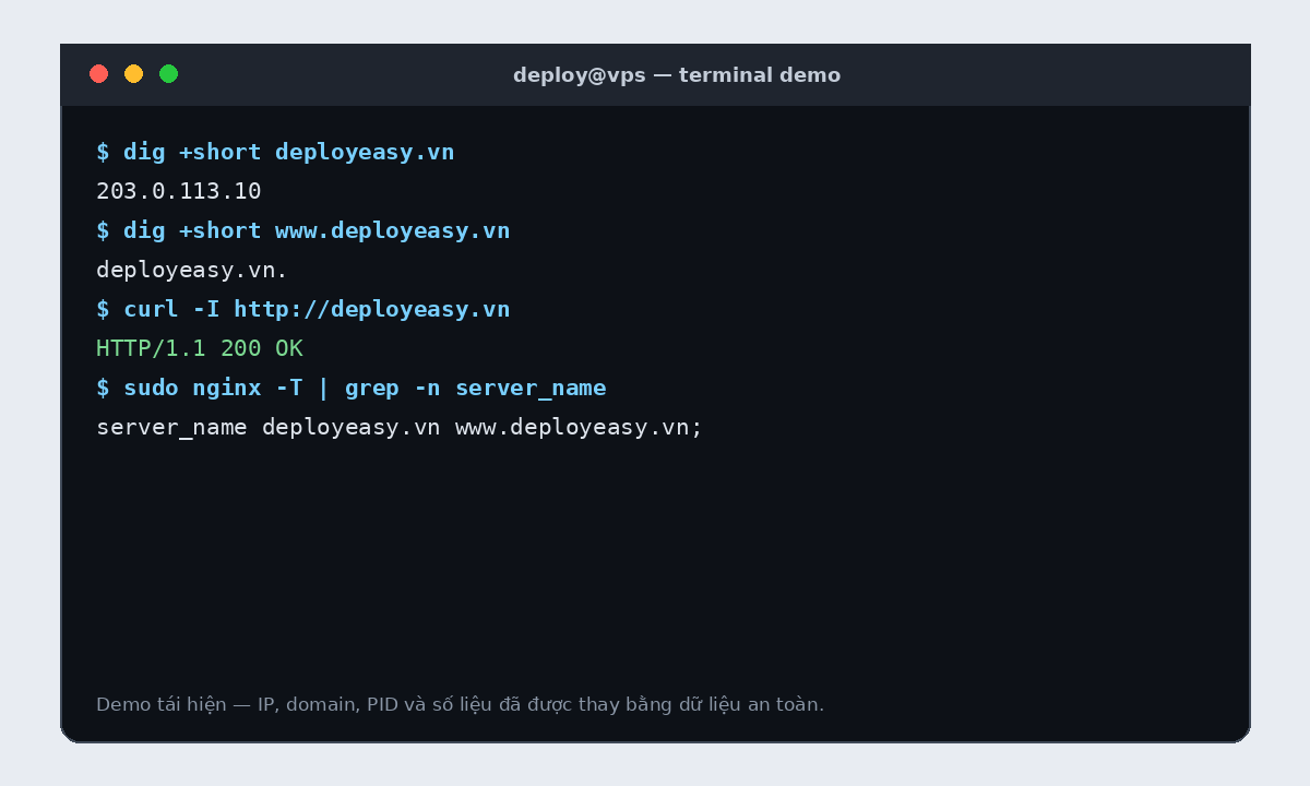 Terminal demo cho cách trỏ tên miền về VPS