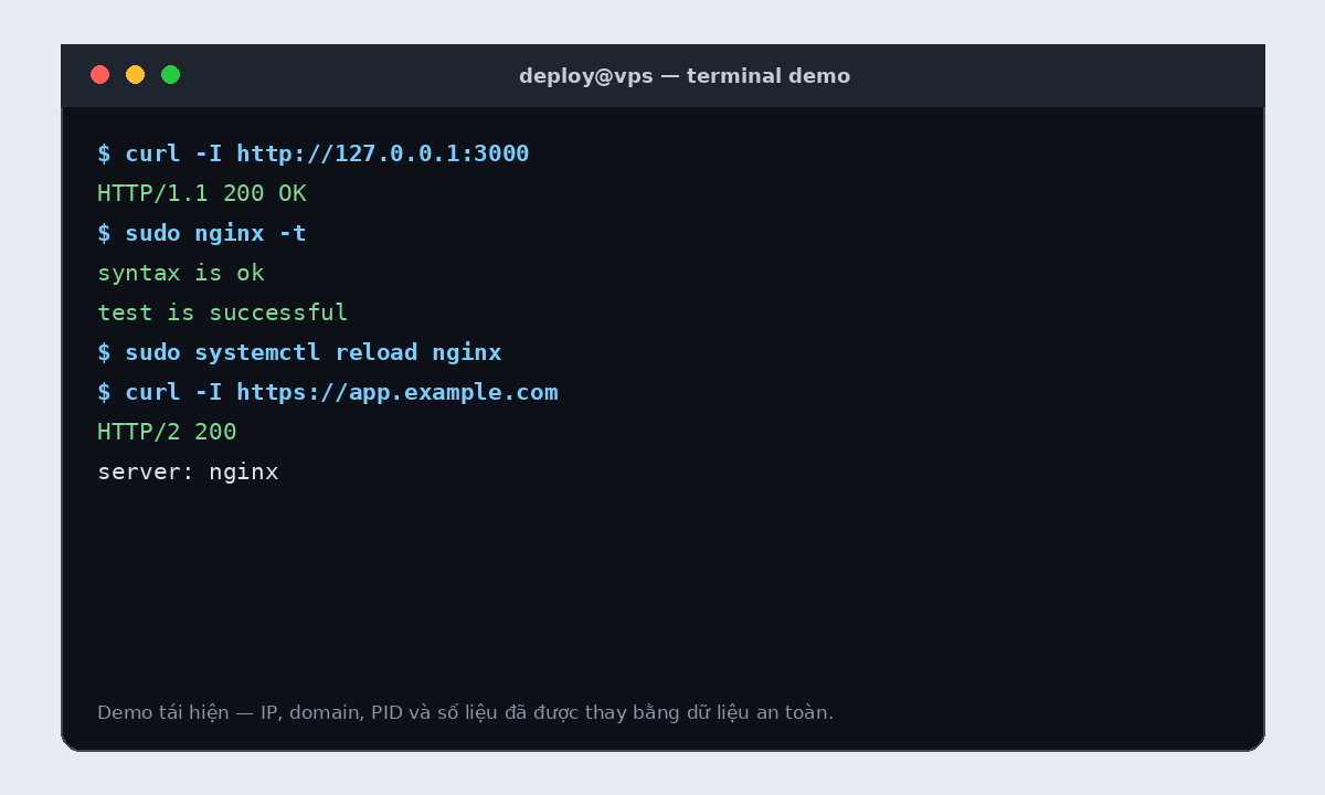 Terminal demo cho Nginx Reverse Proxy là gì